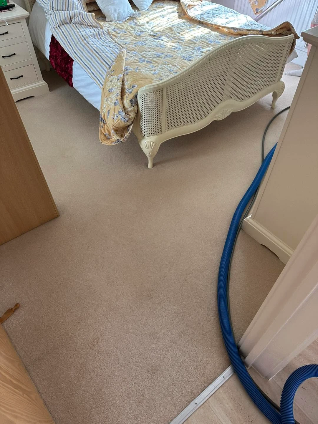 Cleaning a bedroom carpet.