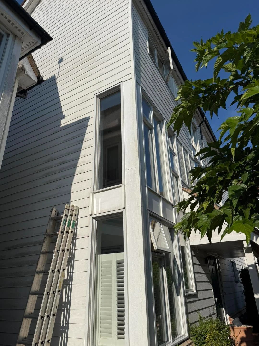 Ladder leaning against a white house being cleaned.
