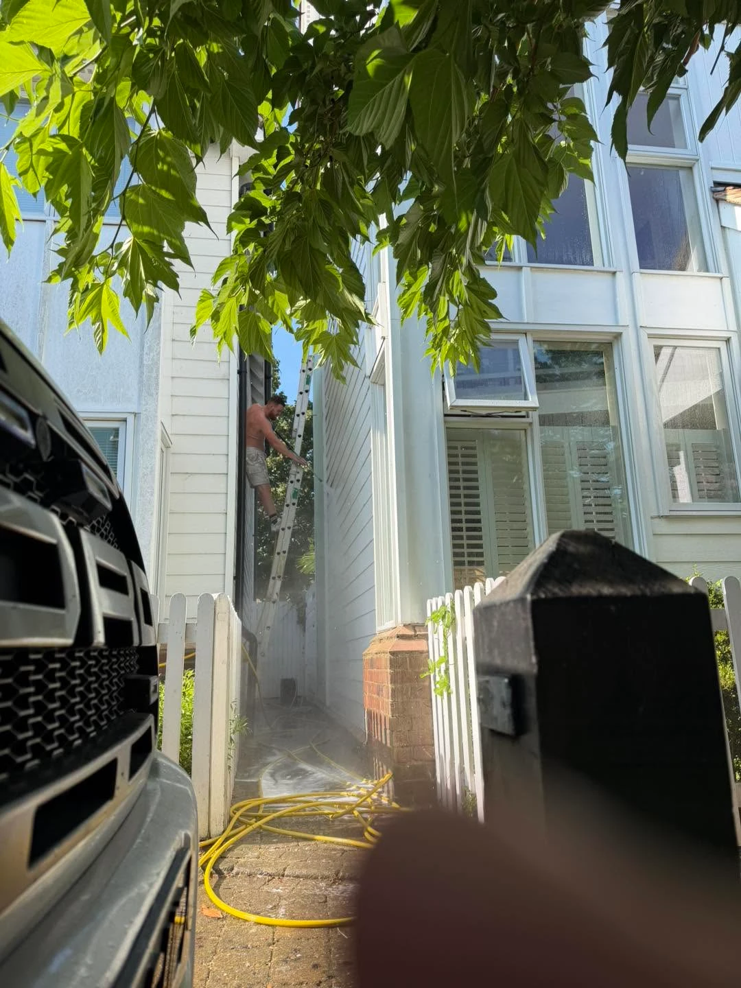 Alley way with tree outside.